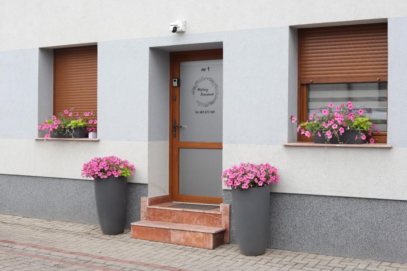Lwowek Apartament Mietowy Rumianek מראה חיצוני תמונה